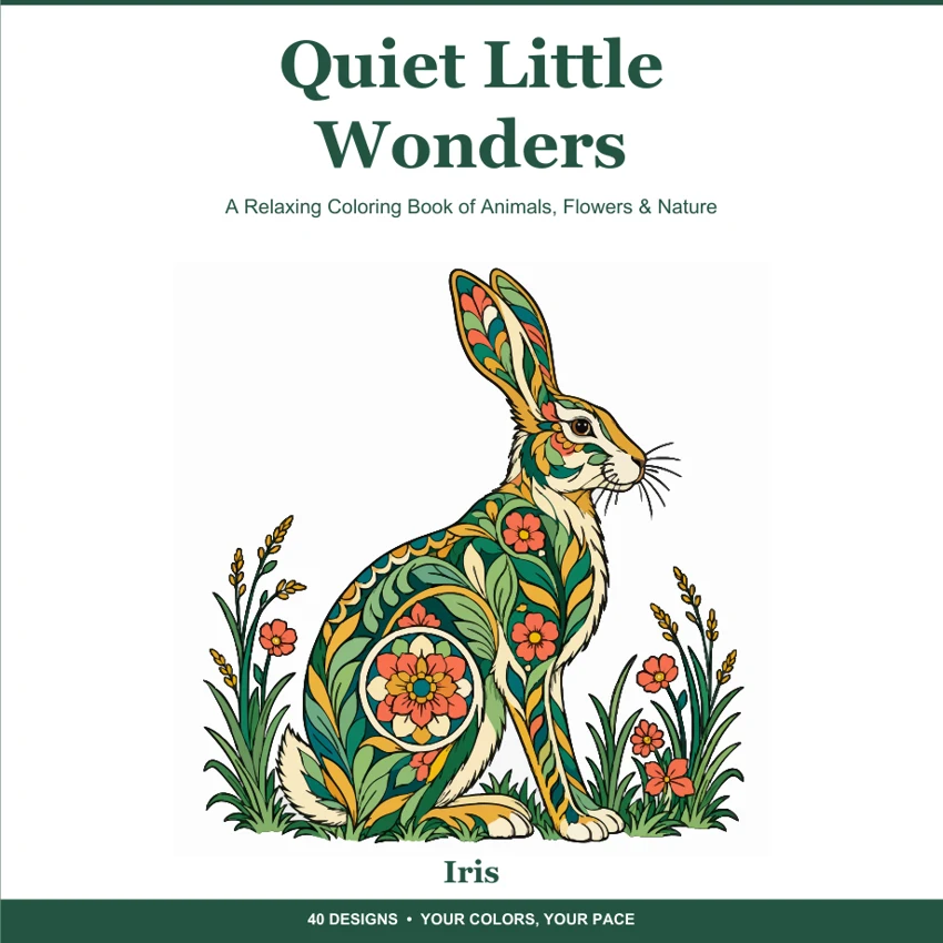 Quiet Little Wonders cover